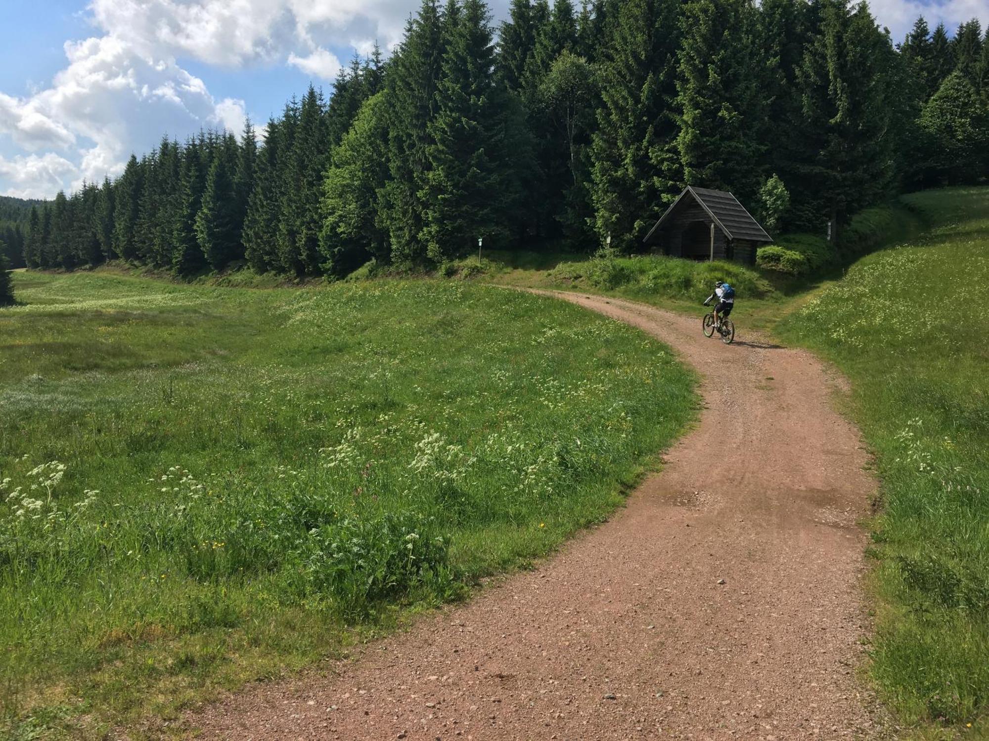 Ferienhaus Bikehütte Rehnhäusl Geising Zimmer foto