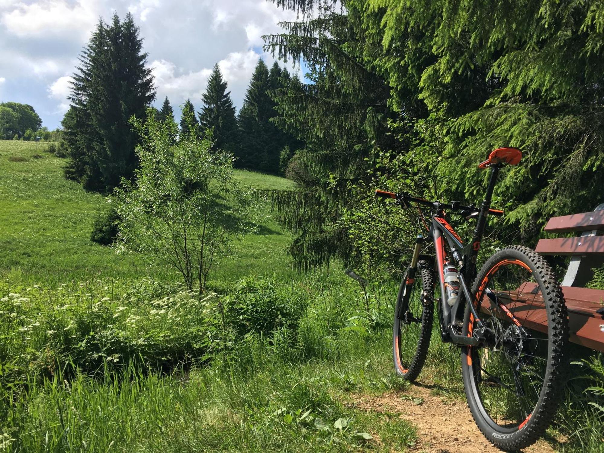 Ferienhaus Bikehütte Rehnhäusl Geising Exterior foto