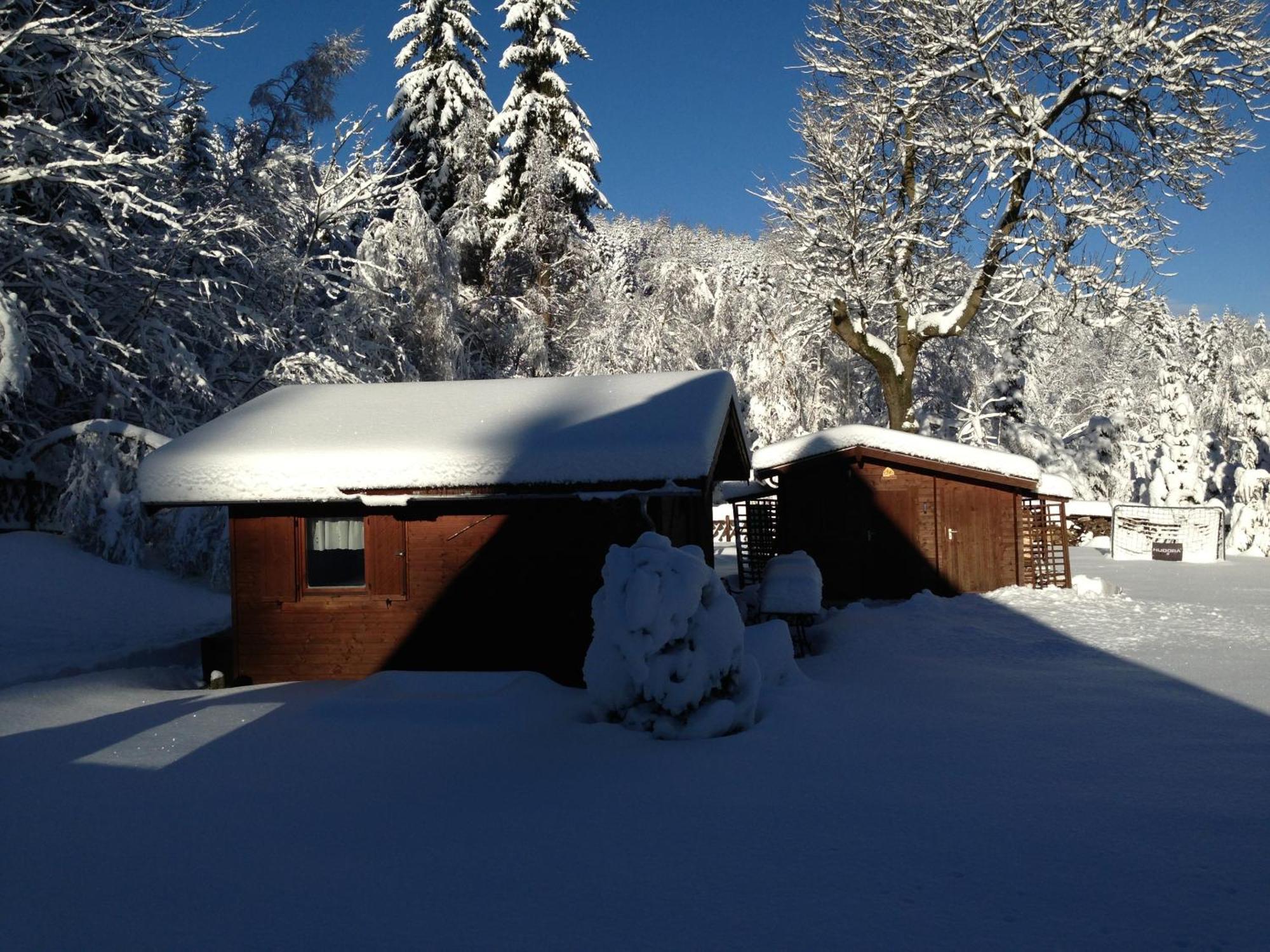 Ferienhaus Bikehütte Rehnhäusl Geising Exterior foto